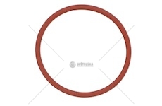 Kroužek vstřikovače DAF XF 95,105 DAF 1664753