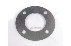 Lamela spojky vstřikovacího čerpadla a kompresoru kulatá 50x95x8 310110110_A