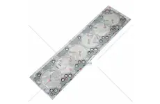 Lema těsnění hlavy | S504385500