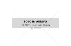 Longblocks F1AGL411 - DAILY E6E MY.22/24 (MAN./192060)