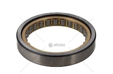 Ložisko převodovky MAN ZF 0635450118