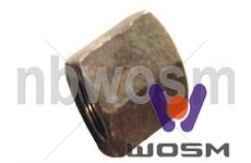 Matice třmenu DAF WOSIMAN D-167