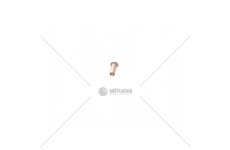 Nýt - 4x11 80227906