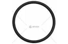 O-kroužek | 366434X1