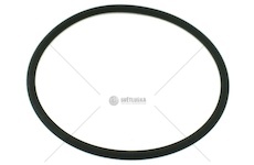 O-kroužek Fiat Ducato 06>/ 14> 125220