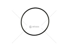 O-kroužek Iveco Daily 14> 17284580