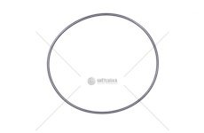 O-kroužek krytu náboje BPW Eco Plus 126x3 0256787200