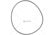 O-kroužek vodního čerpadla DAF 106XF DAF 1927605