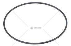 O-kroužek vodního čerpadla DAF DAF 2130588