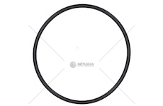 O-RING DAF XF105 DAF 1661256