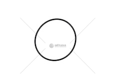 O-RING ZF 0501328758