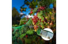 Ochranná síť proti ptákům 2x10m 10g/m2 BIRD NET