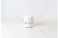 Oil Filter FILTRO OLIO F1AE0481 2300 CC LUNGO Iveco