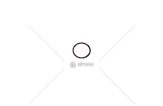 Opěrný kroužek 37111902