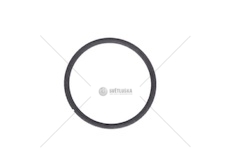 ORING CHLODNICY INTARDERA ZF IVECO EURORICA 95536287