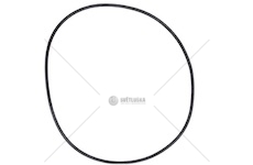 ORING INTARDERA ZF 230X5 EURORICA 95536282