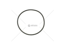 Oring iveco daily 14> olejová pumpa 123225