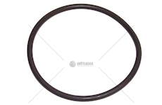 Oring iveco daily 90> čerpadlo vody 96> alt 55a 107110