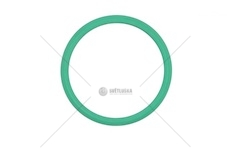 ORING POMPY OLEJU DAF XF106 38X5 OREX 416016