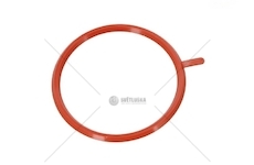 ORING SCANIA P/G/R/T COSIBO 66276/1