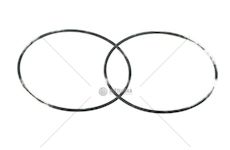ORING SKRZ.BIEG.ZF 73X2 EURORICA 95536743