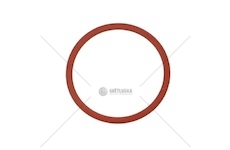 ORING WTRYSKIWACZA DAF 1865847