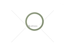ORING WTRYSKIWACZA DELPHI 7200-0404