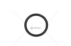 ORING WTRYSKIWACZA IVECO IVECO 42577079