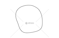 ORING ZF 277X2,5 EURORICA 95170071