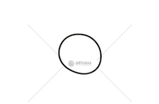 ORING ZF 70X3 EURORICA 95534675