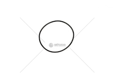 ORING ZF 78X3 EURORICA 95534676