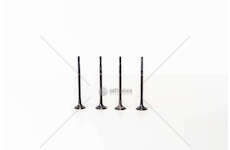 Outlet valve 1.0-1.3 500X EX Mec-Diesel