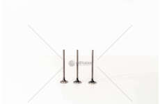 Outlet valve 1.2 BZ HMZ/HNZ/HNP - 208/308 EX. Mec-Diesel