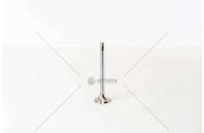 Outlet valve 1.7 D FIORINO/PUNTO/1.9D DUCATO EX Mec-Diesel