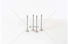 Outlet valve 106 - SAXO 1.6I 16V TU5J4 EX Mec-Diesel