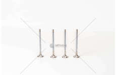 Outlet valve 188A5/198A7/940B7 - MITO/500 1.4 EX Mec-Diesel