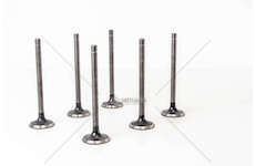 Outlet valve 8040/8060.02/04 - D.100/103 EX + 0,7 MM Mec-Diesel