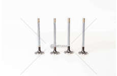 Outlet valve 8040/8060.02/04 - D.100/103 - EX Mec-Diesel