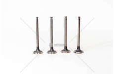 Outlet valve 8140.07 - 30.8/35.8 NEW DAILY - EX Mec-Diesel