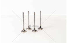 Outlet valve 8140.63 / 8140.67F EX Mec-Diesel