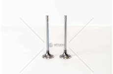 Outlet valve 8460.21/41 - EUROTECH/EUROSTAR EX Mec-Diesel