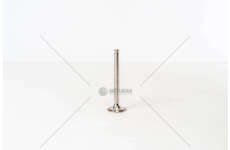 Outlet valve ALFA GIULIA 1300 SCAR. Mec-Diesel