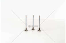 Outlet valve Antara 2.0 16V Z20DMH EX Mec-Diesel