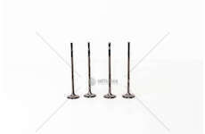 Outlet valve ASTRA 1,6 16V I Z16XEP GAS EX Mec-Diesel