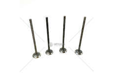 Outlet valve ASTRA K / CORSA 1.0 - D 10 XFL EX Mec-Diesel