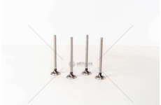 Outlet valve ASTRA/KADETT 1600 D. EX Mec-Diesel