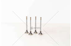 Outlet valve B.M.W.324D/524D EX Mec-Diesel