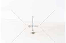 Outlet valve BMW 325TD/525TD - ROVER DISCOV EX Mec-Diesel