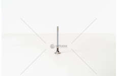 Outlet valve C3 1.4 Hdi 16V DV4TED4 EX Mec-Diesel