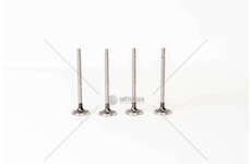 Outlet valve CLIO/MEGANE/MICRA -K9K-1.5 DCI EX Mec-Diesel